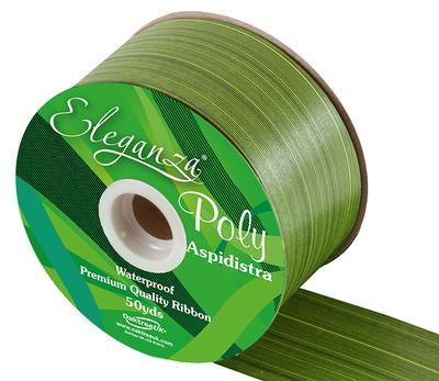 Eleganza Poly Ribbon Aspidistra 50mm x 50yds Spring Green - Ribbons