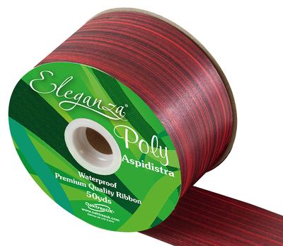 Eleganza Poly Ribbon Aspidistra 50mm x 50yds Red - Ribbons