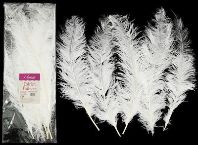 Eleganza Ostrich Feather white 60-65cm 5pcs - Accessories