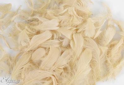 Eleganza Craft Marabout Feathers Mixed sizes 3-8inch 8g bag Pampas No.115 - Accessories